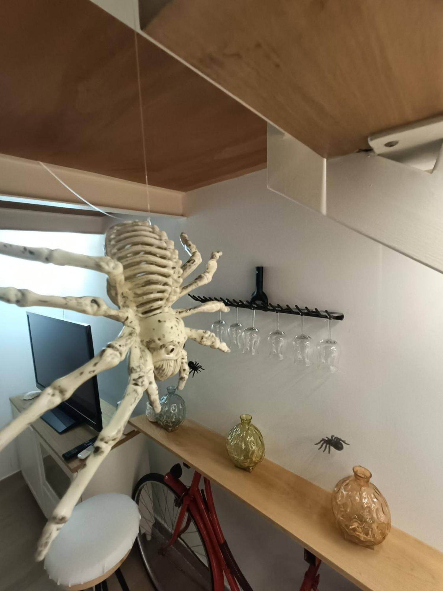 Trastevere In Loft 로마 외부 사진